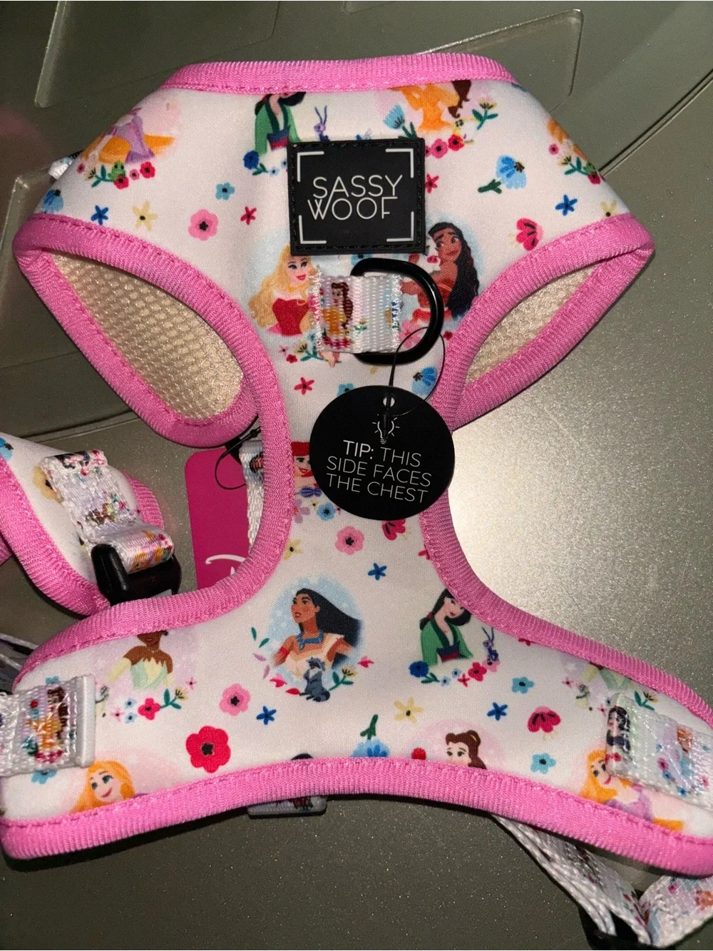 Disney pink dog